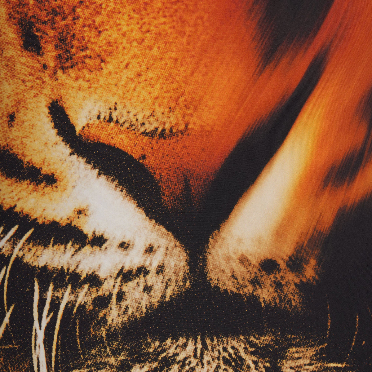 ROBERTO CAVALLI X SKIMS HALTER BIKINI TOP | TIGER FACE PRINT