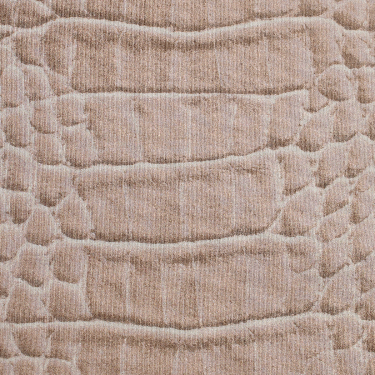 SIGNATURE SWIM TANGA BIKINI BOTTOM | DUNE CROCODILE PRINT